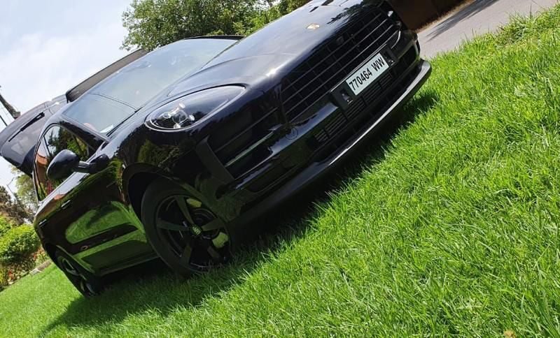 Macan