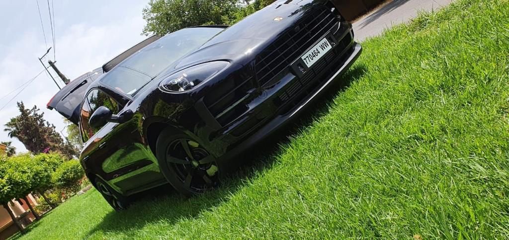 Macan